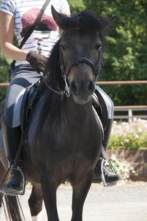 Agriturismo Jesson Rosamund Cantù Zewnętrze zdjęcie