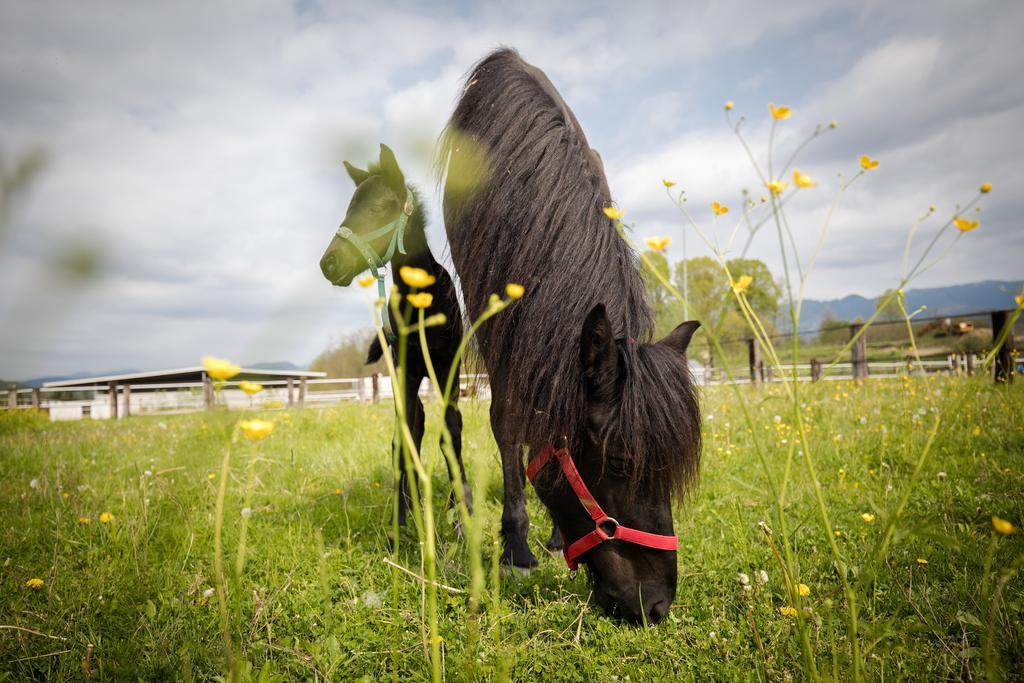 Agriturismo Jesson Rosamund Cantù Zewnętrze zdjęcie